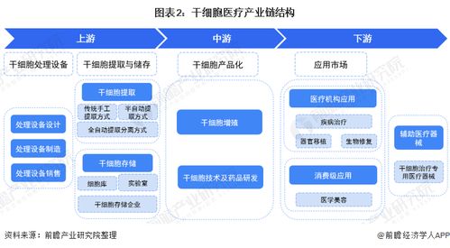 预见2022 中国干细胞医疗产业全景图谱与发展趋势分析